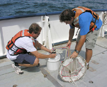 Mikhail Matz and Jon Cohen release the collection bottle from the base of the plankton net after the tow.