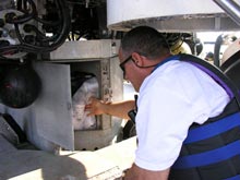 Submersible pilot Hugo Marrero places Styrofoam cups in the battery box of the Johnson-Sea-Link