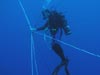 Marine scientist spiderman Misha Matz coordinates a blue water dive for 4 companions.