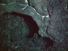 light-colored sediment