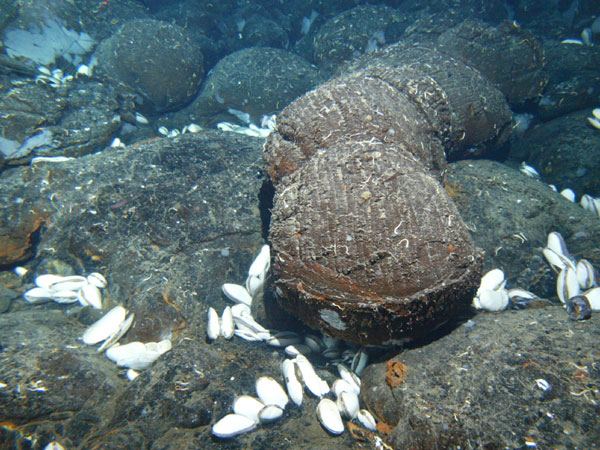 noaa-ocean-explorer-galapagos-rift-2005