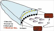 Illustration of a deep-water trawl net.