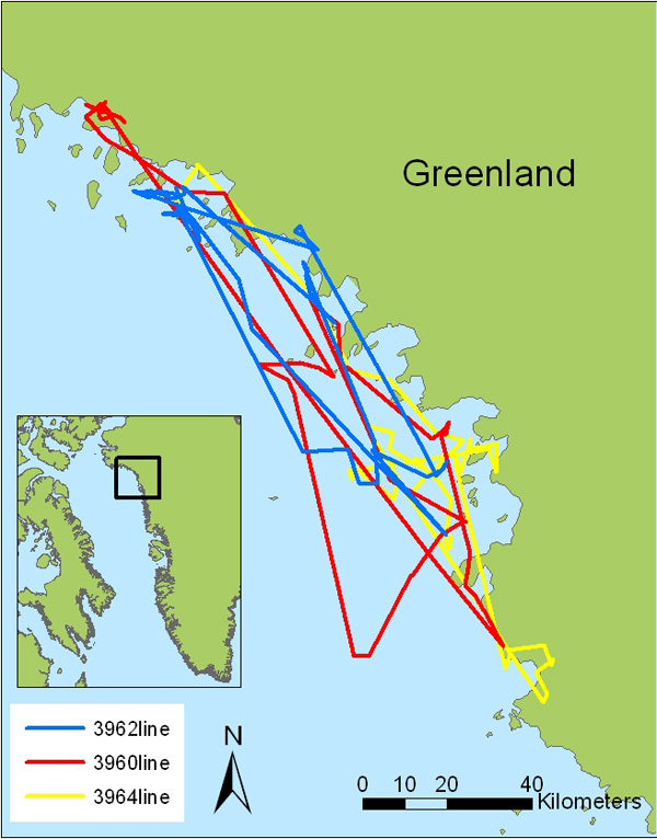 View a slide show of the movements of the narwhals that were tagged during the Tracking Narwhals in Greenland mission.