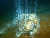 A high-temperature hydrothermal vent in the Kolumbo submarine crater, discharging gases.
