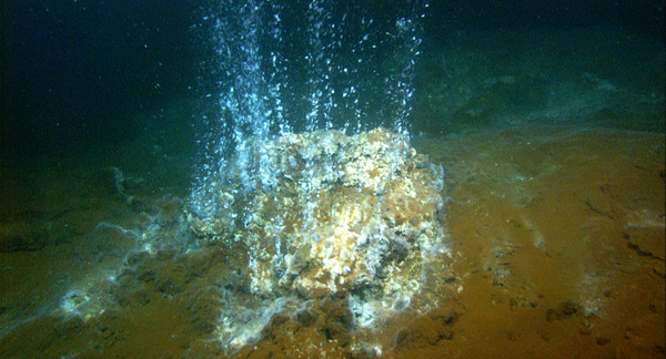 A high-temperature hydrothermal vent in the Kolumbo submarine crater