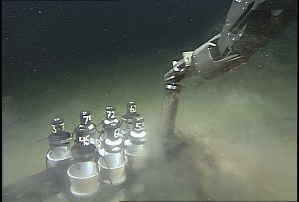 ROV Tiburon collecting a push core.