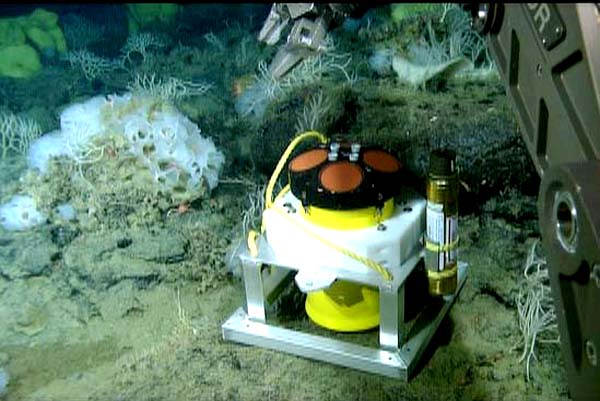 The ROV gently sets down one of the ADCP current meters used to measure the flow rate of the water on one of Davidson's peaks.