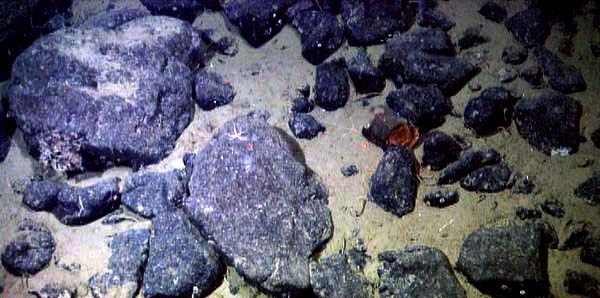 A video transect view across one of the valleys on the northeast end of Davidson Seamount.