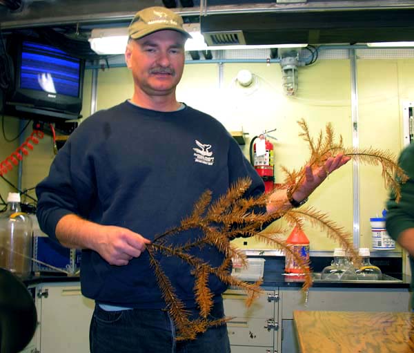 Andrew DeVogelaere holds a black coral specimen.