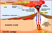Cross-section of a typical submarine volcano with an active hydrothermal system. 