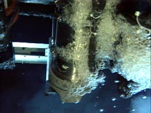 Droplets of liquid carbon dioxide adhere to the underside of the ROPOS ROV arm during sampling.