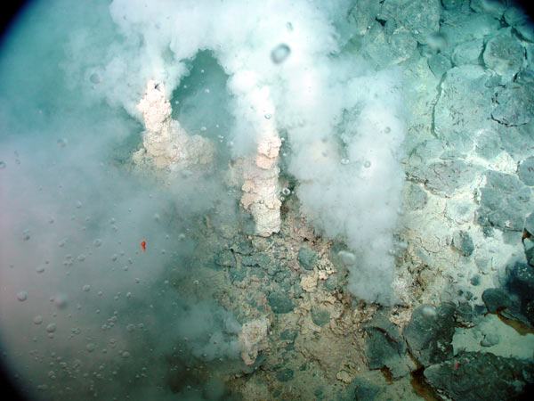 Champagne vent at NW Eifuku volcano, where bubbles of liquid CO2 escape from the white chimneys and surrounding seafloor.