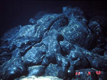 Submarine eruptions at mid-ocean ridges produce fresh lava flows like these pillow lavas.