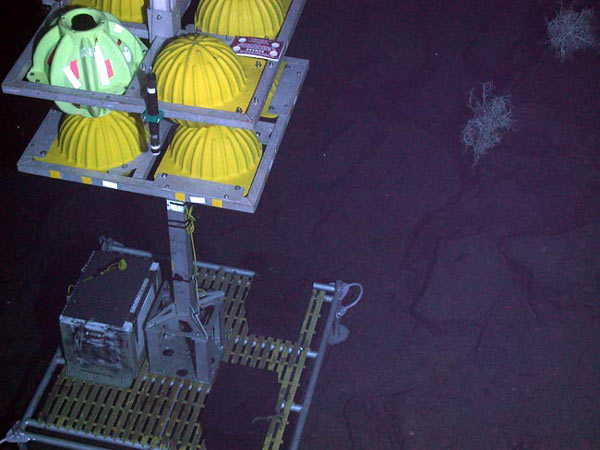 Large samples are brought back from the seafloor by using an elevator.