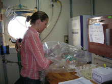 Scientist culturing microbes in the lab aboard the R/V Melville.