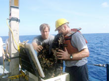 Scientist remove a huge, extinct sulfide sample from the elevator, after its trip from the seafloor to the surface.