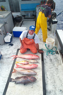 Six of the major Hawaiian bottomfish species.