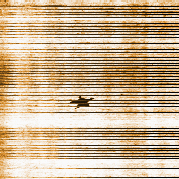 This image clearly shows a starfish, despite the noise in the data that appears as horizontal lines.