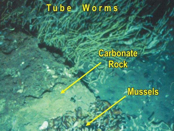 NOAA Ocean Explorer: Expedition to the Deep Slope