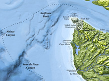 Map of known deep coral occurrences in and around Olympic Coast National Marine Sanctuary.