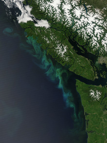 A satellite image of the northwestern tip of the Olympic Peninsula in Washington state and the southern portion of Vancouver Island, Canada. 