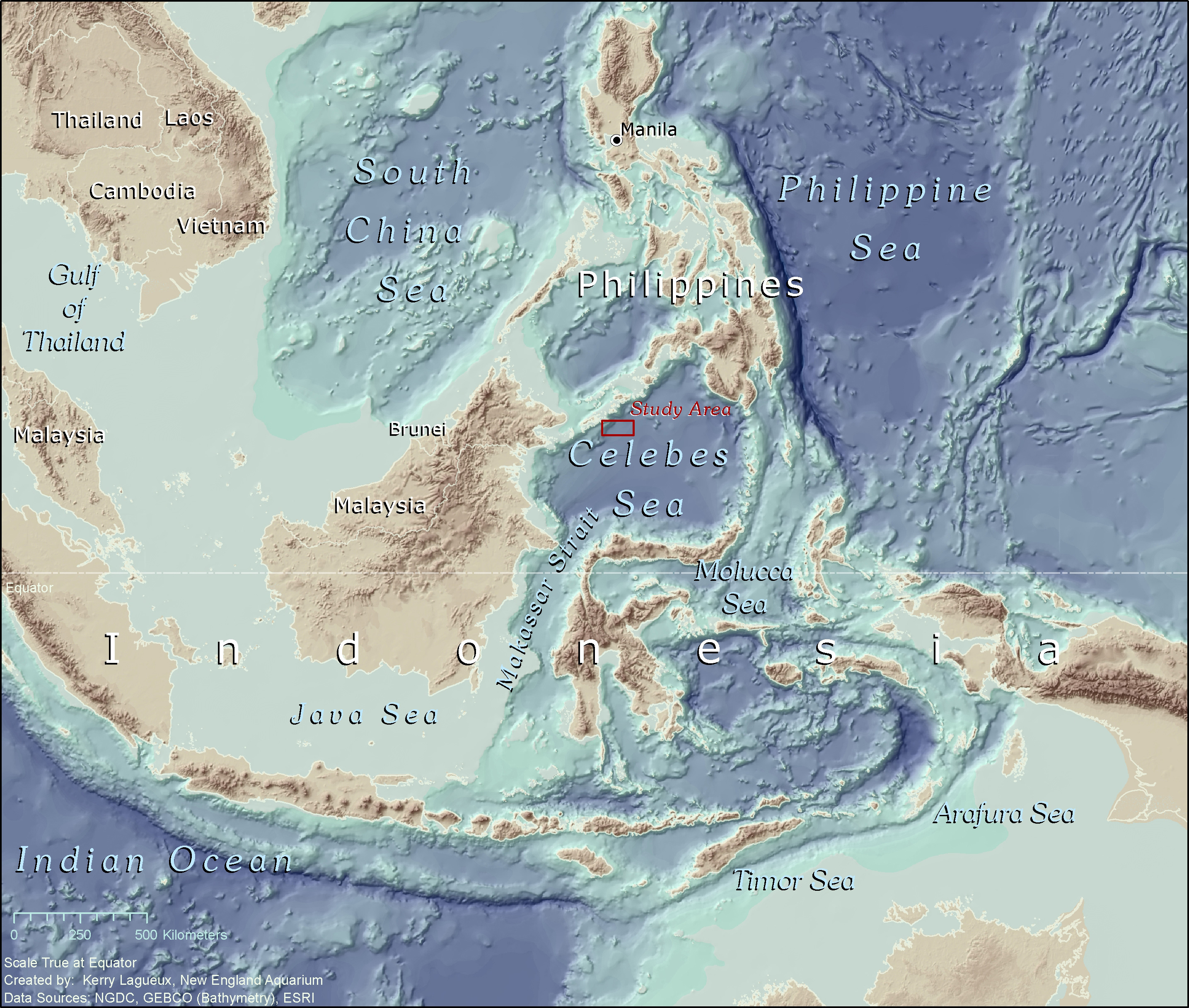 Gulf of the celebes sea