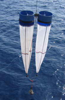 Figure 1.  Paired bongo nets are lowered on a wire to a depth of 500
meters. 