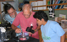 Bill Hamner, Larry Madin and Hildie Nacorda admire the polychaete
	    worm caught by the ROV