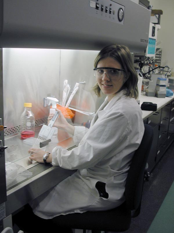 Scientist innoculates extracts into 96-well plates for rapid high-throughput bioassays to determine biomedical potential of sponges.