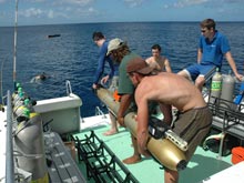 At the Nukove dive site scientists are using both Gavia AUVs to survey the reefs. 
