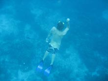 One of the study abroad students, Nate Maier, free diving at a dive site on the south end of Bonaire.