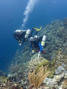 Expedition members descending to the deep reef using trimix technical diving.