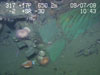 The Gudgeon and pintle once secured the rudder to the sternpost of the Ewing Banks Wreck.