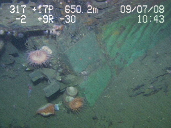 Gudgeon and pintle attached to the sternpost of the Ewing Banks Wreck. The Gudgeon and pintle once secured the rudder to the sternpost. The rudder is no longer attached.