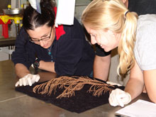 Leslie and scientist Maria Pia Miglietta closely examine a specimen collected during a dive.