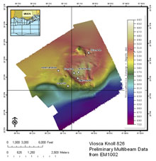Multibeam data at Viosca Knoll 826 acquired during the Lophelia II cruise.