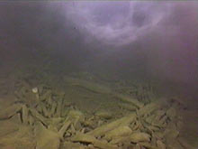 ROV-video still images of Isolated Sinkhole conspicuous benthic white and dark mats and a 1-2 m thick nepheloid-like plume layer prevailing just over the lake floor.