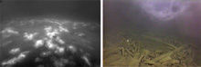 Figure 2. ROV image of sediment surface of the deep, aphotic Isolated Sinkhole showing the brown and grey mats and a near-bottom nepheloid layer (Biddanda et al., 2006). Left Panel: ROV-video still images of conspicuous benthic grayish-white and brown mats, composition unknown; Right Panel: ROV image of sediments and exposed logs in Isolated Sinkhole (93 meters).
