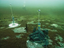 Microbial mat community in the Middle Island submerged sinkhole in Lake Huron.