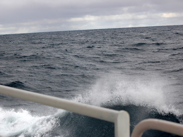 For our second full day at sea, we encountered a swell of about 6-8 feet. Compounding seasickness, the ship had to sit sideways to the waves at times to deploy scientific instruments, in a position known as 'wallowing in the trough.'