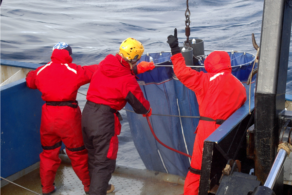 Elizaveta Ershova, Cornelia Jaspers, and Russ Hopcroft steady the 'bongo' plankton net package, while Russ motions to the winch operator to raise the net. The bongo nets are the primary way zooplankton are captured during the 2009 RUSALCA expedition. 