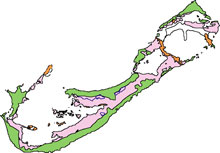 Simplified geological map of Bermuda showing the location for surface outcrops of the Walsingham limestone, the oldest such rock on the island.