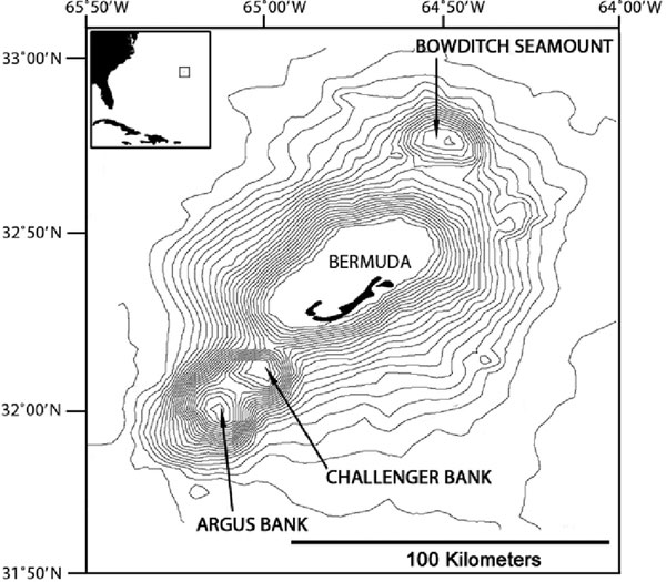 Maps of Bermuda showing its location in the North Atlantic (insert) and the orientation and structure of the four peaks comprising the Bermuda Islands and Pedestal along with the adjacent Argus, Challenger and Bowditch Seamounts.