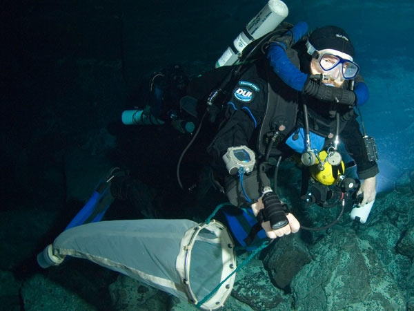 Prof. Tom Iliffe, diving with a Megalodon closed circuit rebreather, tows a plankton net through an underwater cave to collect small animals.  Photo credit: Jill Heinerth.