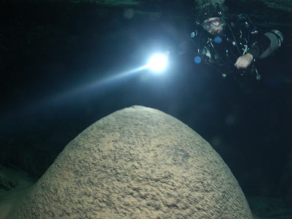 Prof. Tom Iliffe examines a large stalagmite in the North Shore Passage of Green Bay Cave, Bermuda.  Photo credit: Tamara Thomsen.