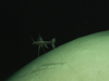 Close-up of a tripod at 1960 meters depth.
