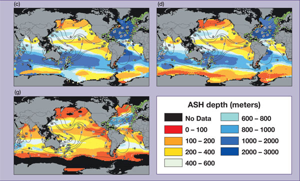Shoaling of the aragonite saturation horizon poses a significant threat to calcifying organisms in deep-water.