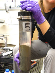 This push core shows discrete layers in a typical sediment sample.