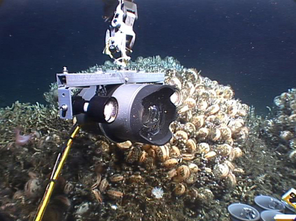 Latest deep-sea camera system uses a Canon SLR with LED flood lamps in a 'hand-held' mounting. The housing is titanium with a domed optical port.
