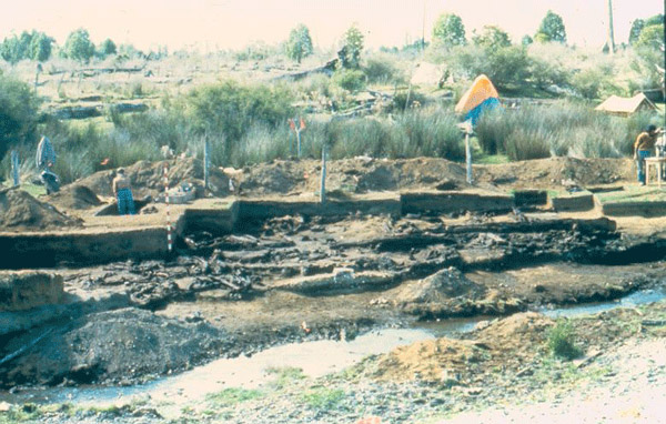 Monte Verde excavation